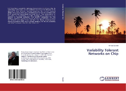 Variability Tolerant Networks on Chip