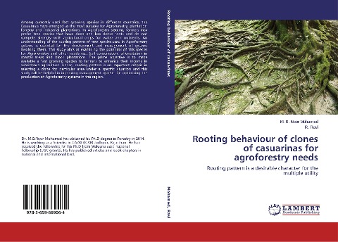 Rooting behaviour of clones of casuarinas for agroforestry needs: Rooting pattern is a desirable character for the multiple utility