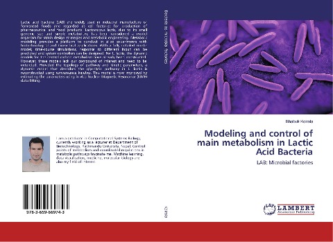 Modeling and control of main metabolism in Lactic Acid Bacteria: LAB: Microbial factories