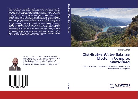 Distributed Water Balance Model in Complex Watershed: Water Flow in Compound Channel Network with Impermeable Groynes