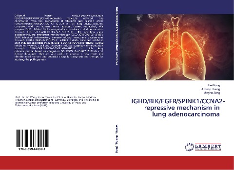 IGHD/BIK/EGFR/SPINK1/CCNA2-repressive mechanism in lung adenocarcinoma