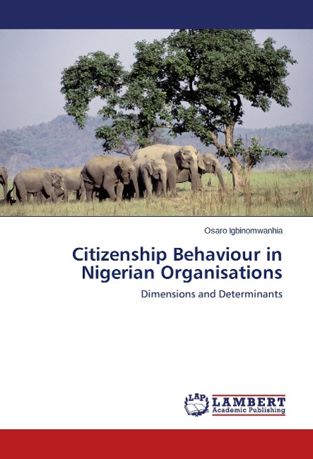 Citizenship Behaviour in Nigerian Organisations: Dimensions and Determinants