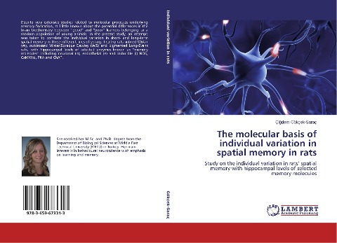 The molecular basis of individual variation in spatial memory in rats: Study on the individual variation in rats spatial memory with hippocampal levels of selected memory molecules