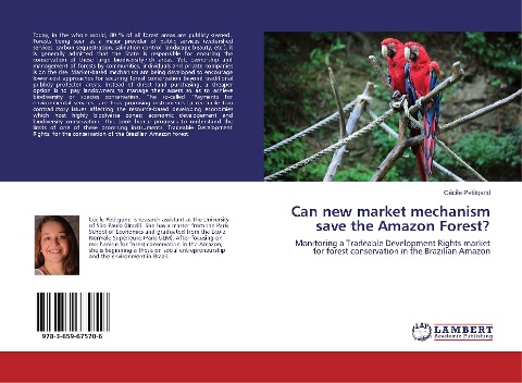 Can new market mechanism save the Amazon Forest?: Monitoring a Tradeable Development Rights market for forest conservation in the Brazilian Amazon