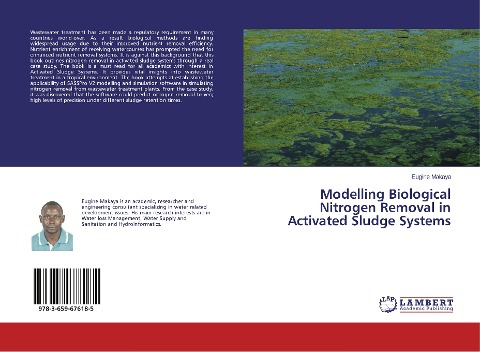 Modelling Biological Nitrogen Removal in Activated Sludge Systems