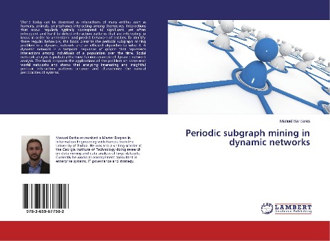 Periodic subgraph mining in dynamic networks