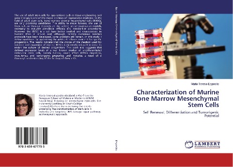 Characterization of Murine Bone Marrow Mesenchymal Stem Cells: Self Renewal, Differentiation and Tumorigenic Potential