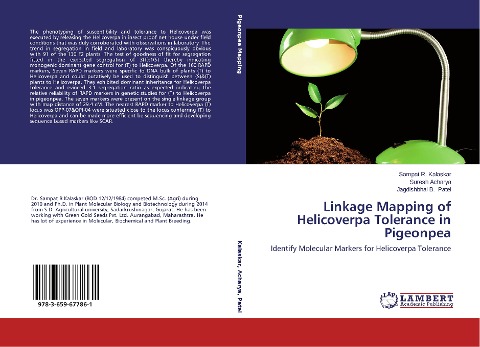 Linkage Mapping of Helicoverpa Tolerance in Pigeonpea: Identify Molecular Markers for Helicoverpa Tolerance