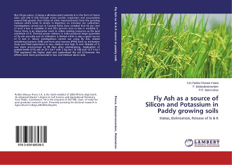 Fly Ash as a source of Silicon and Potassium in Paddy growing soils: Status, Delineation, Release of Si & K