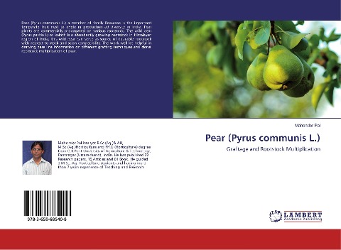Pear (Pyrus communis L.): Graftage and Rootstock Multiplication