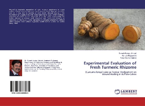 Experimental Evaluation of Fresh Turmeric Rhizome: (Curcuma longa) Juice as Topical Medicament on Wound Healing in Buffalo-Calves