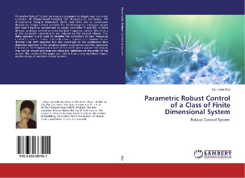 Parametric Robust Control of a Class of Finite Dimensional System: Robust Control System