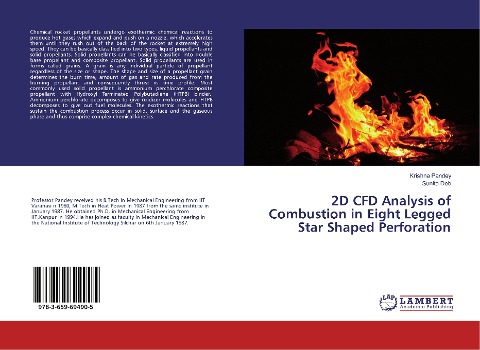 2D CFD Analysis of Combustion in Eight Legged Star Shaped Perforation