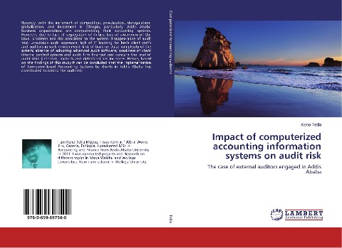 Impact of computerized accounting information systems on audit risk: The case of external auditors engaged in Addis Ababa