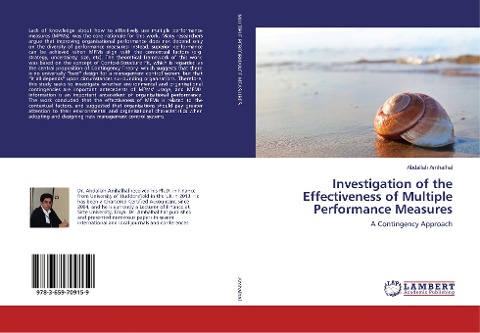 Investigation of the Effectiveness of Multiple Performance Measures: A Contingency Approach