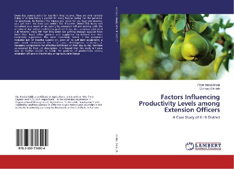 Factors Influencing Productivity Levels among Extension Officers: A Case Study of Kilifi District