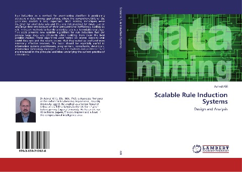 Scalable Rule Induction Systems: Design and Analysis