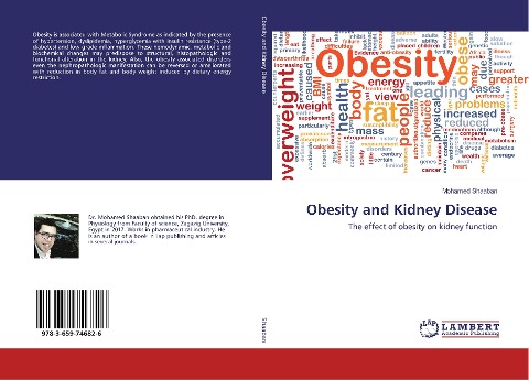 Obesity and Kidney Disease: The effect of obesity on kidney function