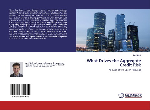 What Drives the Aggregate Credit Risk: The Case of the Czech Republic