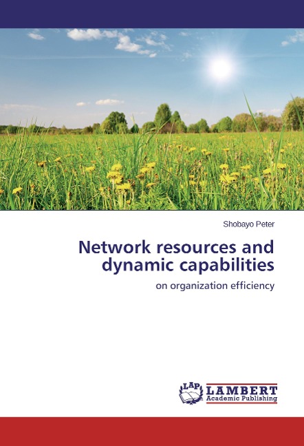 Network resources and dynamic capabilities: on organization efficiency