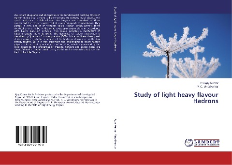 Study of light heavy flavour Hadrons