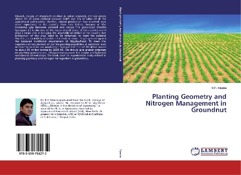 Planting Geometry and Nitrogen Management in Groundnut
