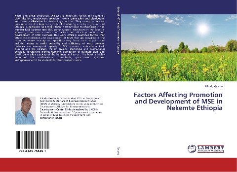 Factors Affecting Promotion and Development of MSE in Nekemte Ethiopia