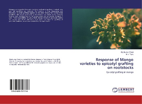Response of Mango varieties to epicotyl grafting on rootstocks: Epicotyl grafting in mango
