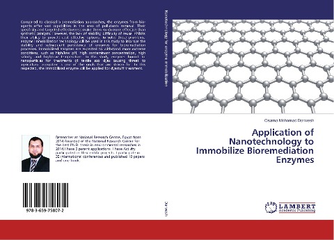 Application of Nanotechnology to Immobilize Bioremediation Enzymes