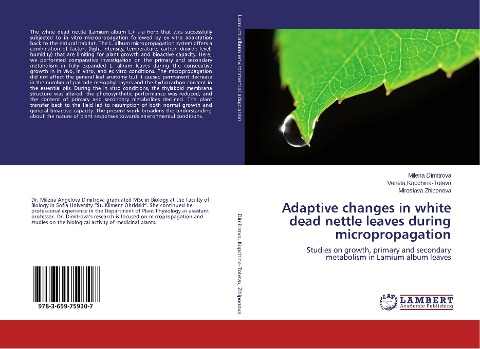Adaptive changes in white dead nettle leaves during micropropagation: Studies on growth, primary and secondary metabolism in Lamium album leaves
