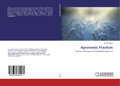 Agronomic Practices: Irrigation, Nitrogen and Tillage Management
