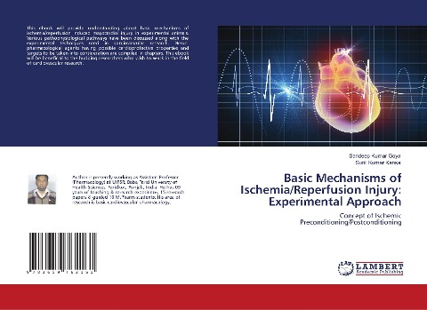 Basic Mechanisms of Ischemia/Reperfusion Injury: Experimental Approach: Concept of Ischemic Preconditioning/Postconditioning