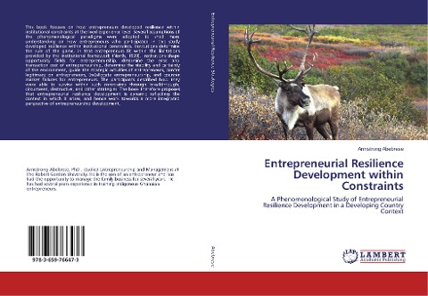 Entrepreneurial Resilience Development within Constraints: A Phenomenological Study of Entrepreneurial Resilience Development in a Developing Country Context