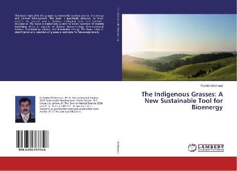 The Indigenous Grasses: A New Sustainable Tool for Bioenergy