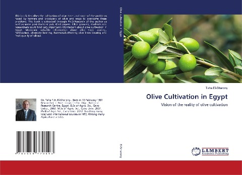 Olive Cultivation in Egypt: Vision of the reality of olive cultivation