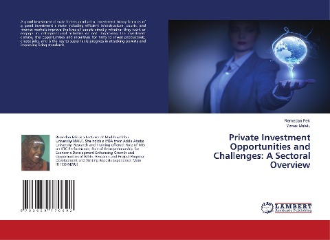 Private Investment Opportunities and Challenges: A Sectoral Overview