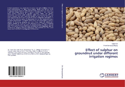 Effect of sulphur on groundnut under different irrigation regimes