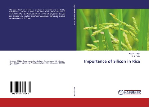 Importance of Silicon in Rice