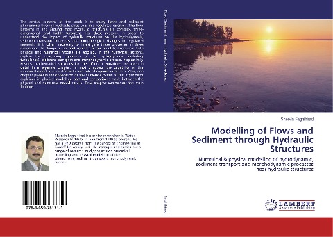 Modelling of Flows and Sediment through Hydraulic Structures: Numerical & physical modelling of hydrodynamic, sediment transport and morphodynamic processes near hydraulic structures