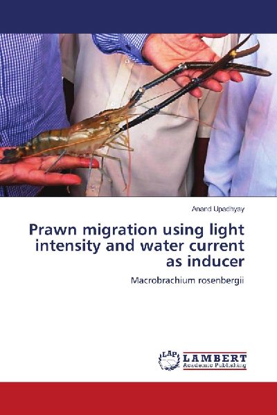 Prawn migration using light intensity and water current as inducer: Macrobrachium rosenbergii