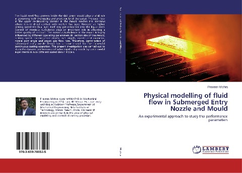 Physical modelling of fluid flow in Submerged Entry Nozzle and Mould: An experimental approach to study the performance parameters
