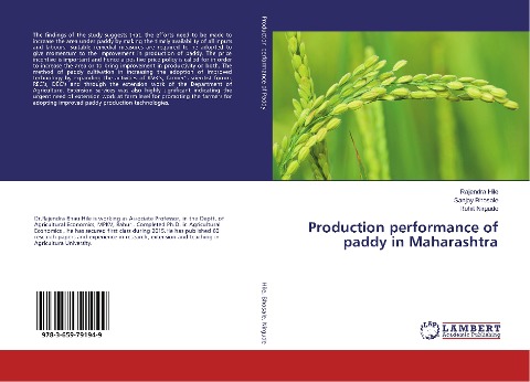 Production performance of paddy in Maharashtra