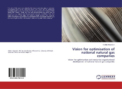 Vision for optimisation of national natural gas companies: Vision for optimisation and innovative organisational development of national natural gas companies