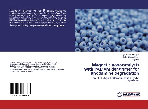 Magnetic nanocatalysts with PAMAM dendrimer for Rhodamine degradation: Core-shell Magnetic Nanocomposites for dye degradation