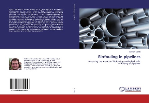 Biofouling in pipelines: Assessing the impact of biofouling on the hydraulic efficiency of pipelines