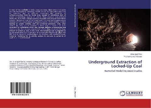 Underground Extraction of Locked-Up Coal: Numerical Modelling Based Studies