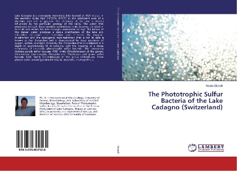 The Phototrophic Sulfur Bacteria of the Lake Cadagno (Switzerland)