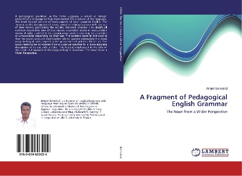 A Fragment of Pedagogical English Grammar: The Noun from a Wider Perspective