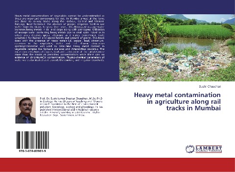 Heavy metal contamination in agriculture along rail tracks in Mumbai
