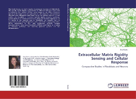 Extracellular Matrix Rigidity Sensing and Cellular Response: Comparative Studies in Fibroblasts and Neurons